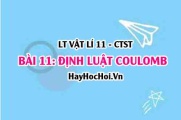 Định luật Coulomb, công thức biểu thức? Sự tương tác giữa các điện tích? Vật lí 11 bài 11 CTST